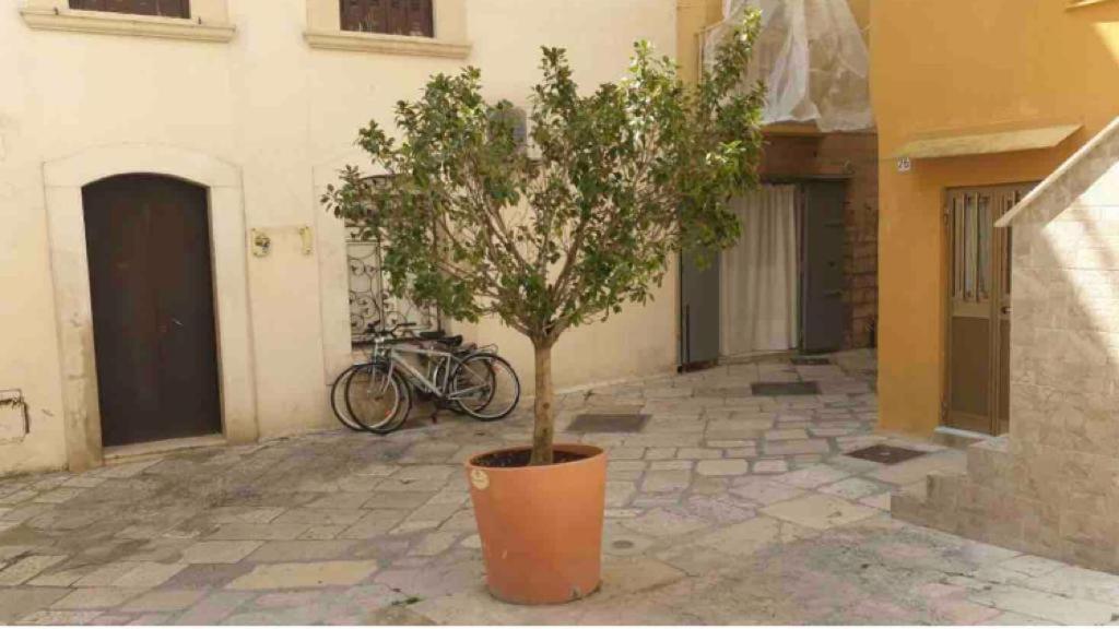 Corte32 Bari Extérieur photo